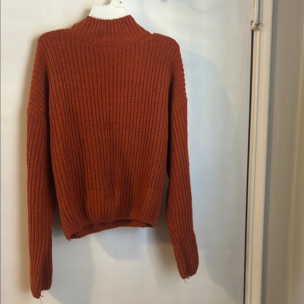 Cozy Knit Sweater in Rust